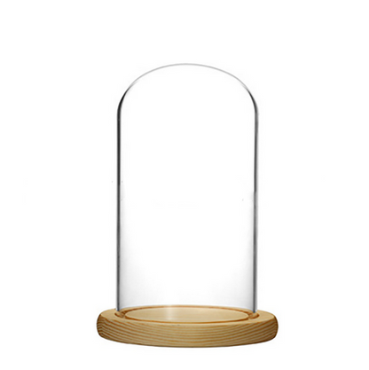 12x22cm Clear Glass Dome Shade Cover Case With Wood Base Board