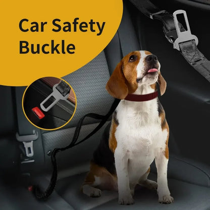 Nylon Hands-Free Dog Leash (2.5×250cm)