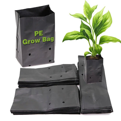 Black PE Seedling & Transplant Grow Bags – Punched Nursery Planting Bags
