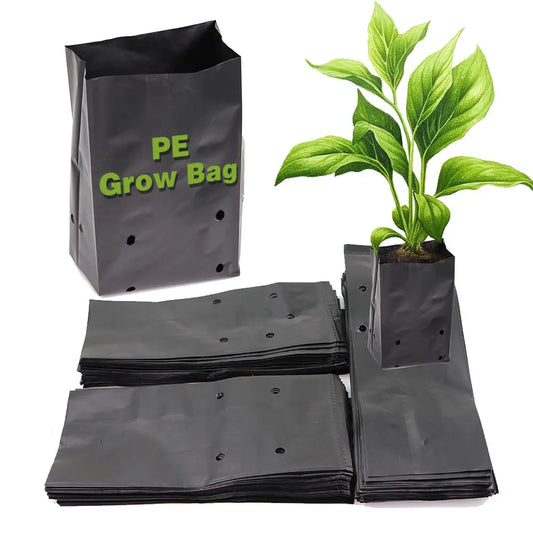 Black PE Seedling & Transplant Grow Bags – Punched Nursery Planting Bags