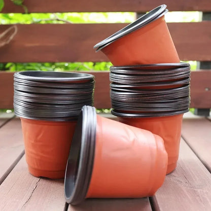 20–100 Pack Seedling Nursery Pots – Reusable 10cm Plant Growing Cups