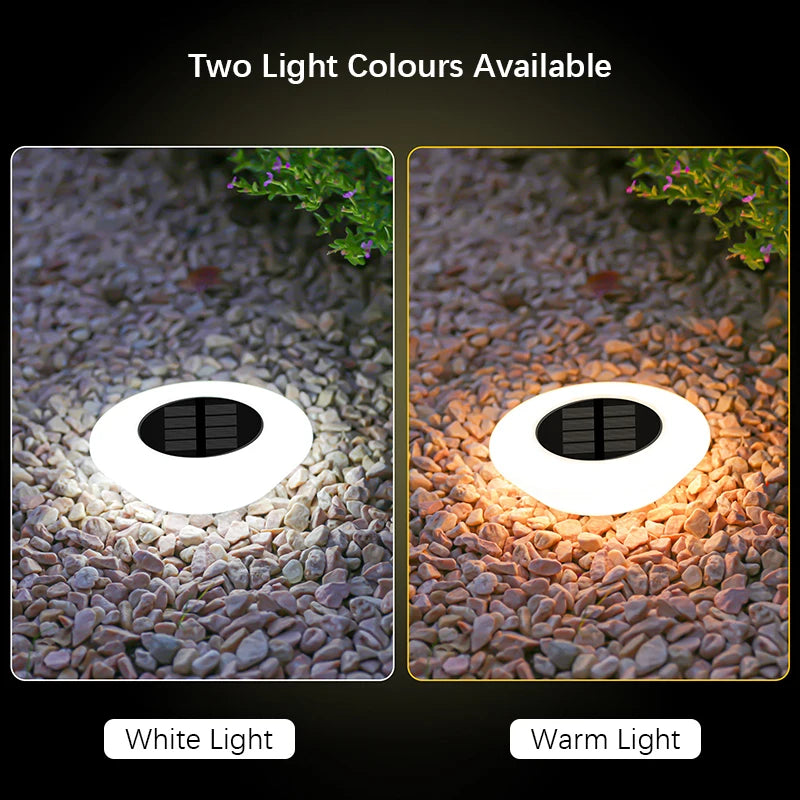 Solar LED Ground Lights – Waterproof Outdoor Pathway & Garden Lights (1 or 4 Pack)