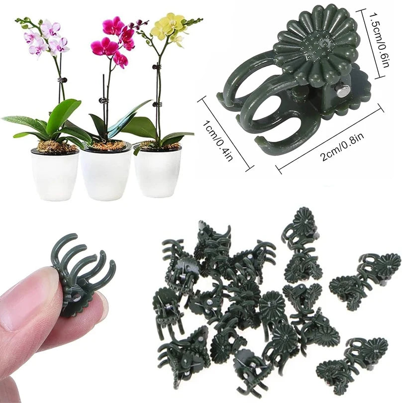 10–100 Pack Plant Support Clips – 6-Claw Climbing Vine & Stem Clamps