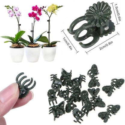 10–100 Pack Plant Support Clips – 6-Claw Climbing Vine & Stem Clamps