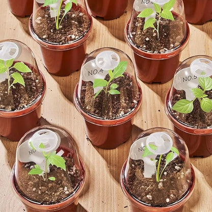 18-Piece Mini Seedling Pot Set with Humidity Domes – 9 Pots & 9 Clear Covers