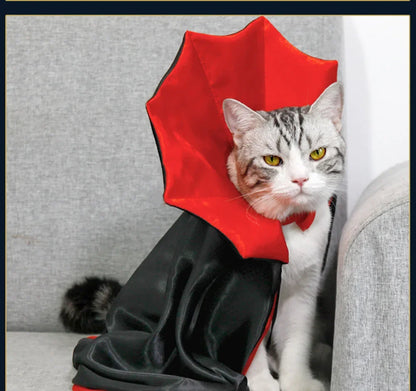 Vampire Halloween Costume for Dogs & Cats