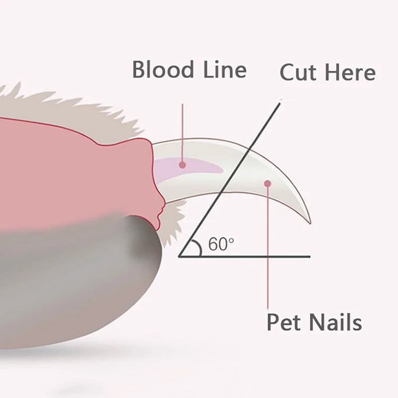 Pet Nail Clippers – Safe & Precise Grooming Tool for Dogs & Cats