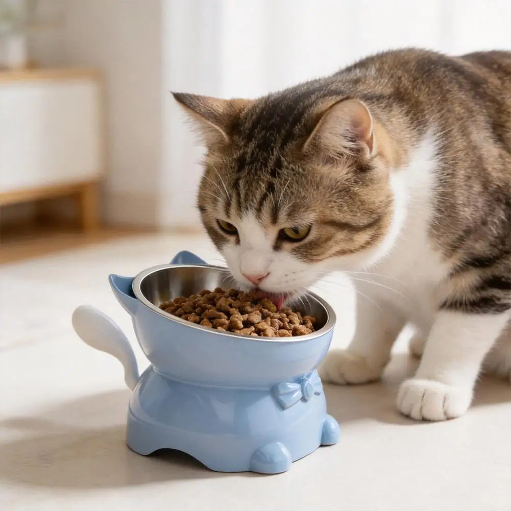 Elevated Tilted Stainless Steel Cat Bowl – Raised Whisker-Friendly Pet Feeder