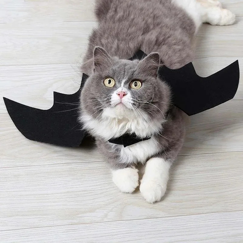 Halloween Bat Wings Pet Costume – Adjustable Cat & Dog Dress-Up Harness