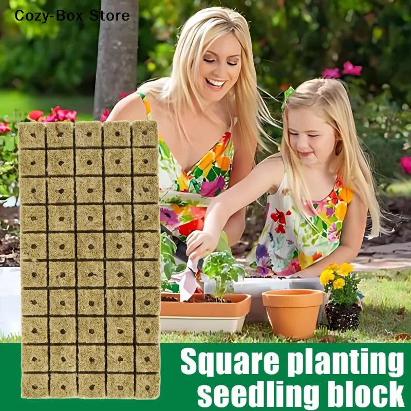 50-Piece Rock Wool Seed Starter Cubes – Hydroponic Growing & Propagation Plugs