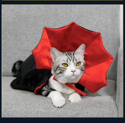 Vampire Halloween Costume for Dogs & Cats