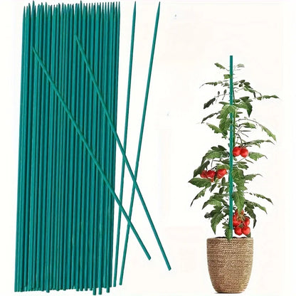 10-Piece Wooden Plant Stake Set – Garden Support & Plant Marker Sticks