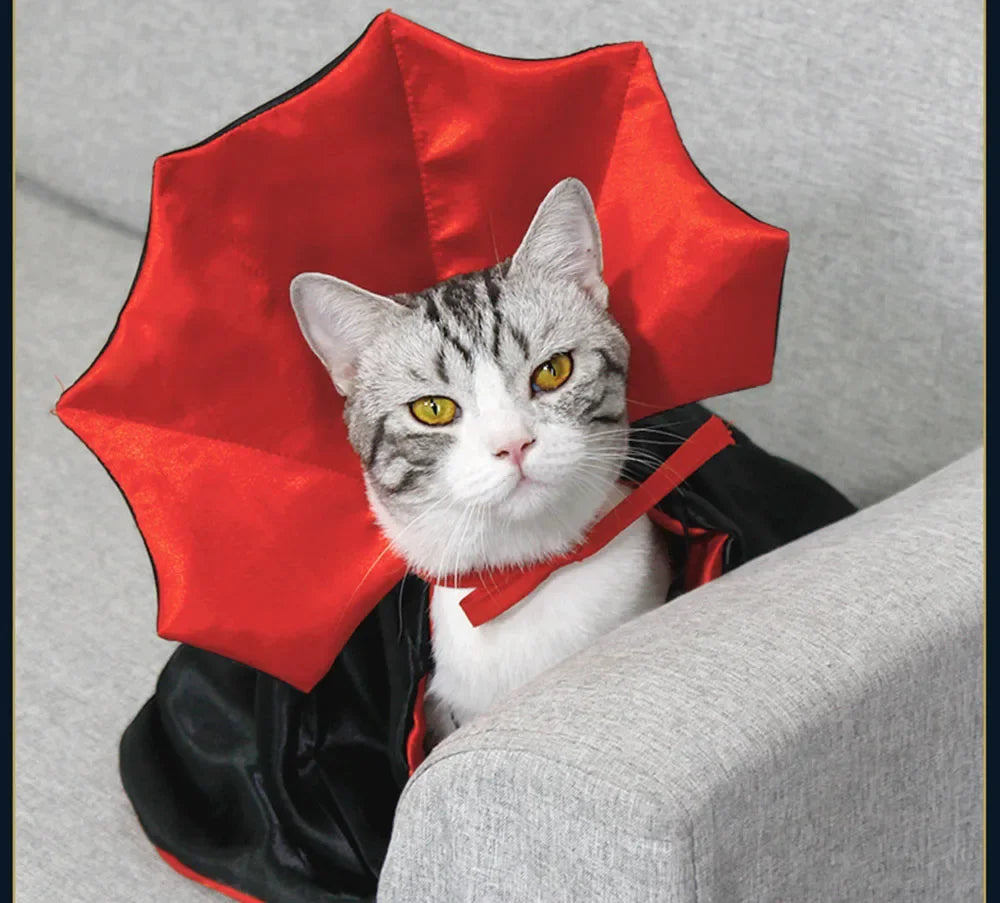Vampire Halloween Costume for Dogs & Cats