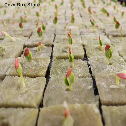 50-Piece Rock Wool Seed Starter Cubes – Hydroponic Growing & Propagation Plugs