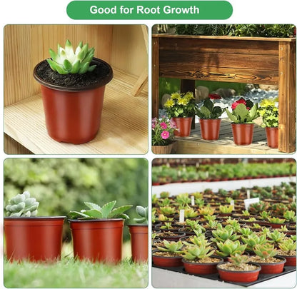 20–100 Pack Seedling Nursery Pots – Reusable 10cm Plant Growing Cups