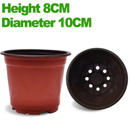 20–100 Pack Seedling Nursery Pots – Reusable 10cm Plant Growing Cups