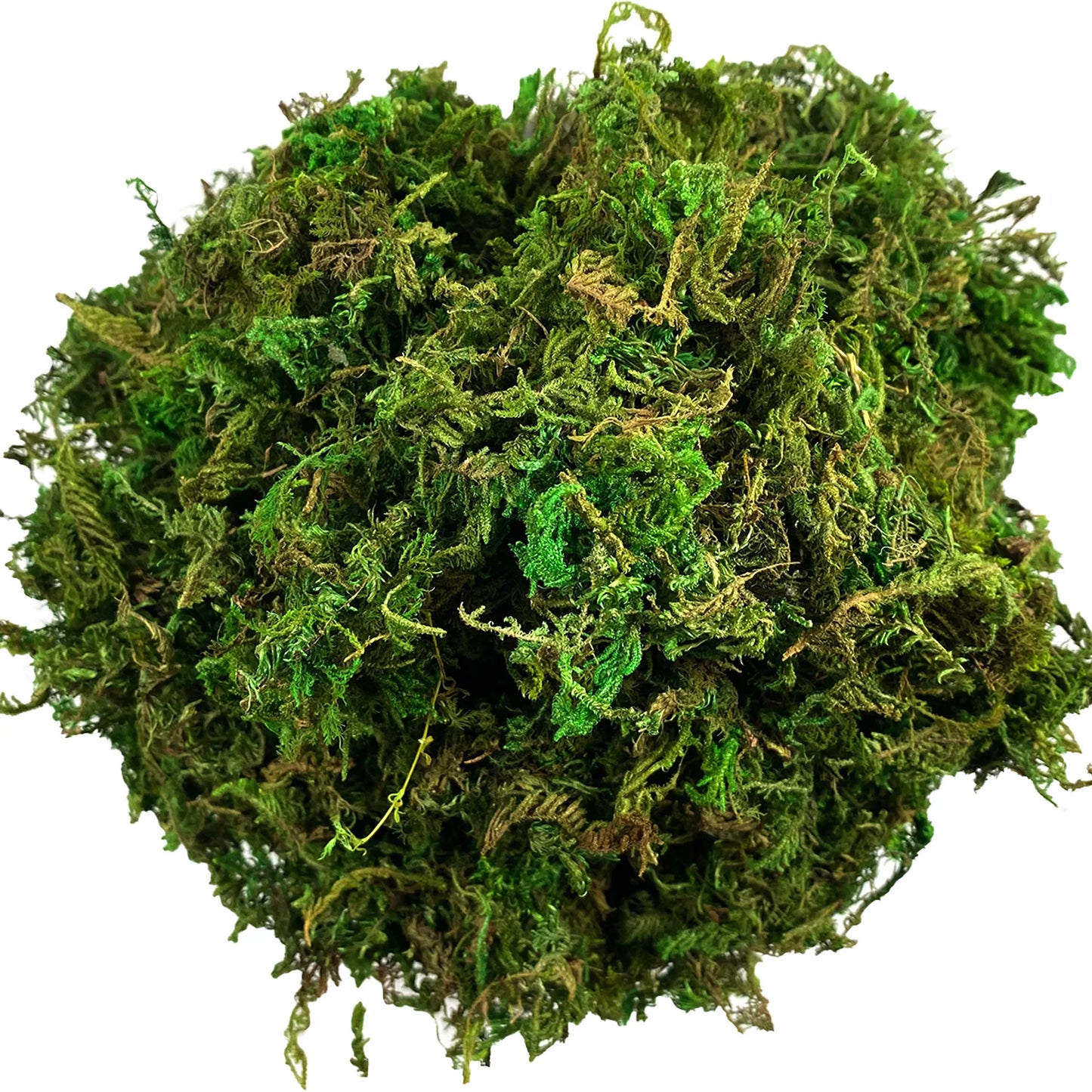 Artificial Green Moss – Decorative Faux Moss for Potted Plants, Terrariums & Crafts