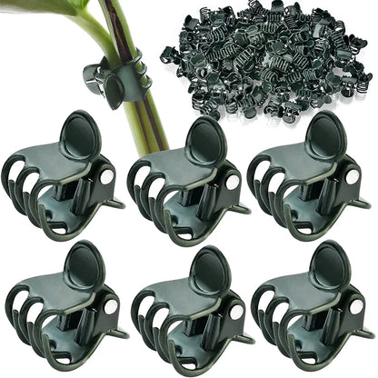 10–100 Pack Plant Support Clips – 6-Claw Climbing Vine & Stem Clamps