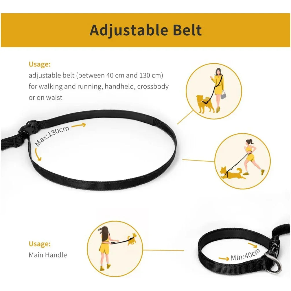 Nylon Hands-Free Dog Leash (2.5×250cm)