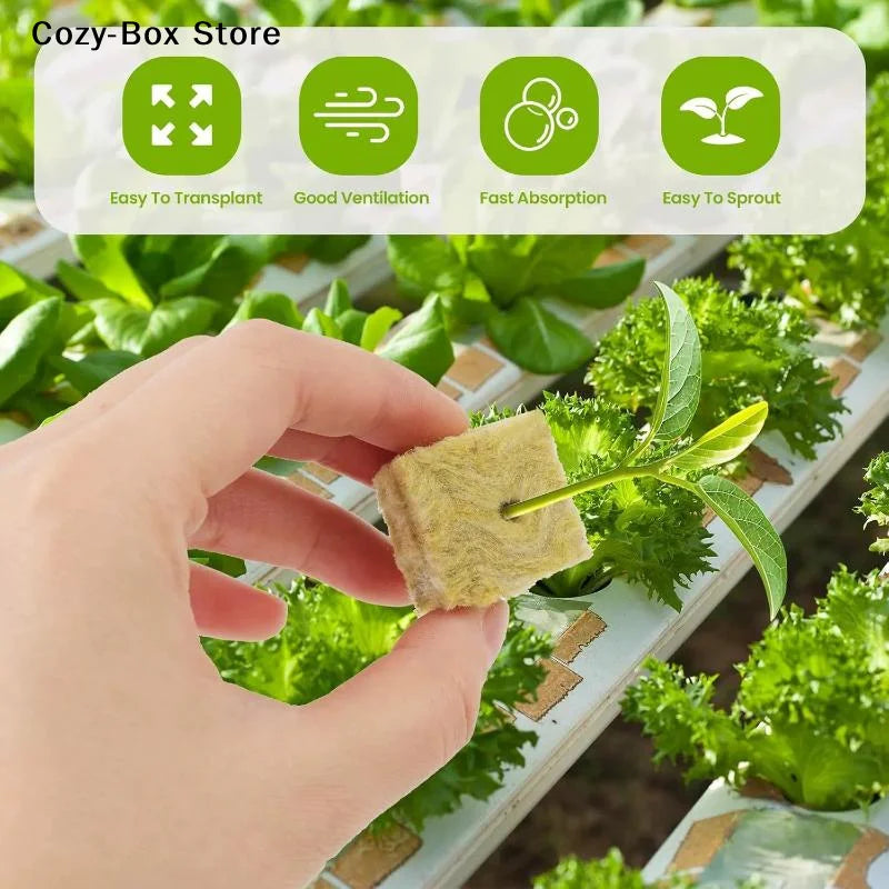 50-Piece Rock Wool Seed Starter Cubes – Hydroponic Growing & Propagation Plugs