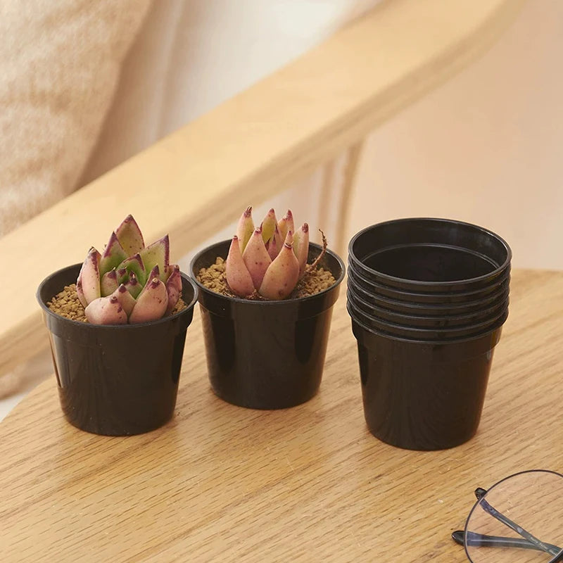 20-Pack Mini Seedling Pots – 6.5cm Plastic Nursery Pots with Drainage Holes