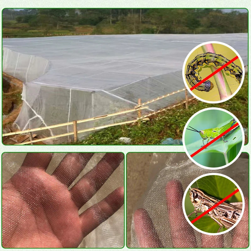 60 Mesh Garden Insect Netting – Protective Plant & Vegetable Cover
