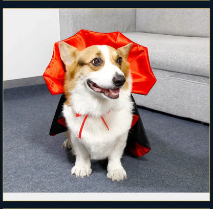 Vampire Halloween Costume for Dogs & Cats