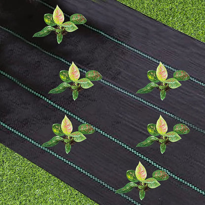 Heavy-Duty Woven Weed Mat – Non-Slip Garden Ground Cover & Weed Barrier Fabric