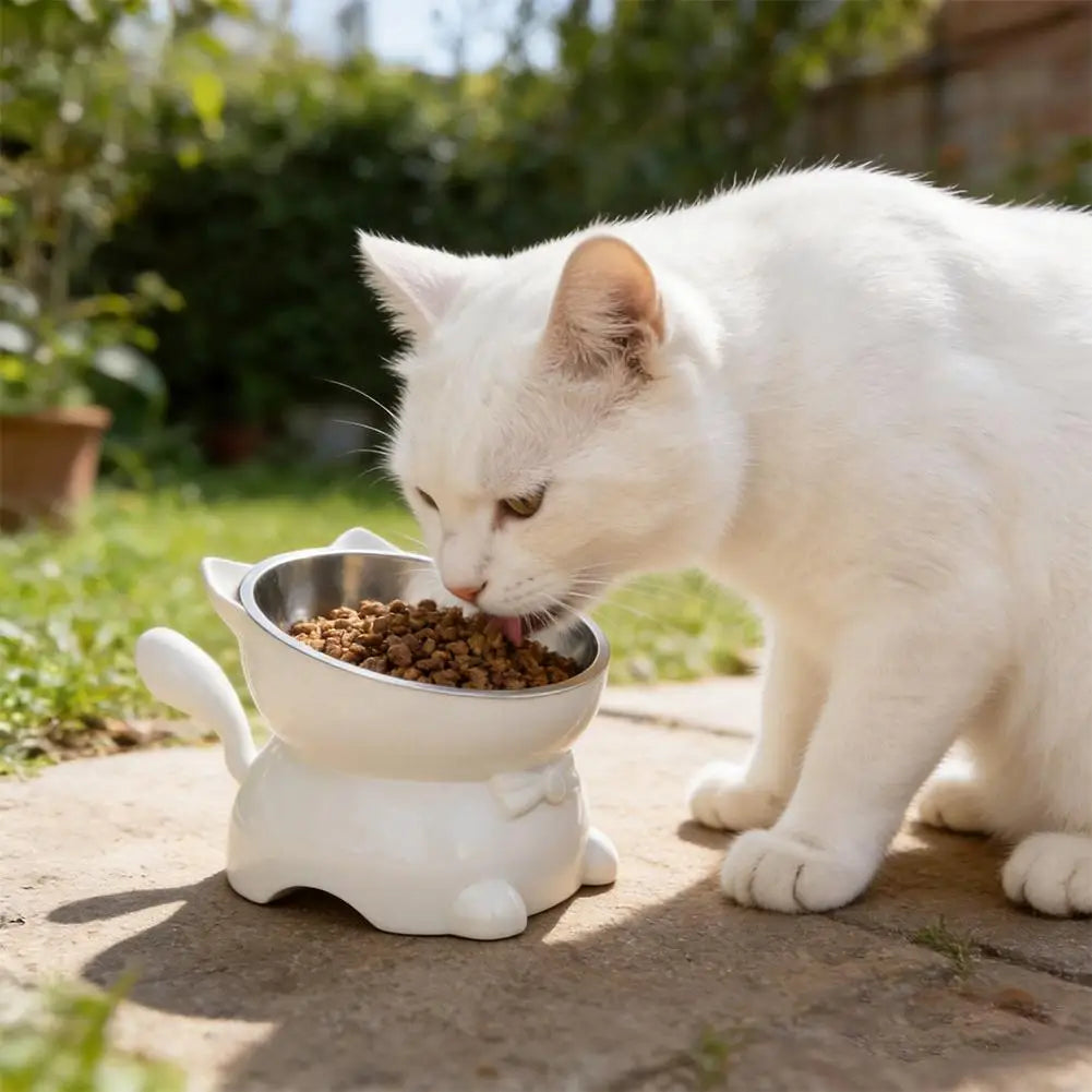 Elevated Tilted Stainless Steel Cat Bowl – Raised Whisker-Friendly Pet Feeder