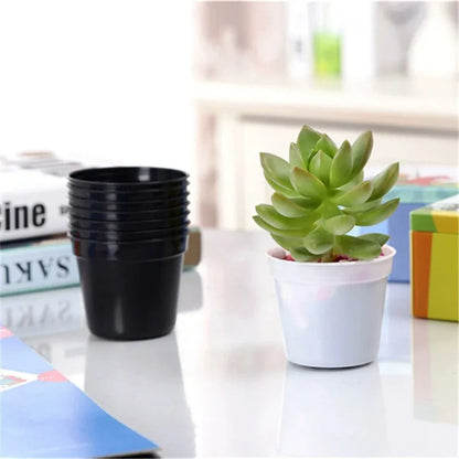 20-Pack Mini Seedling Pots – 6.5cm Plastic Nursery Pots with Drainage Holes