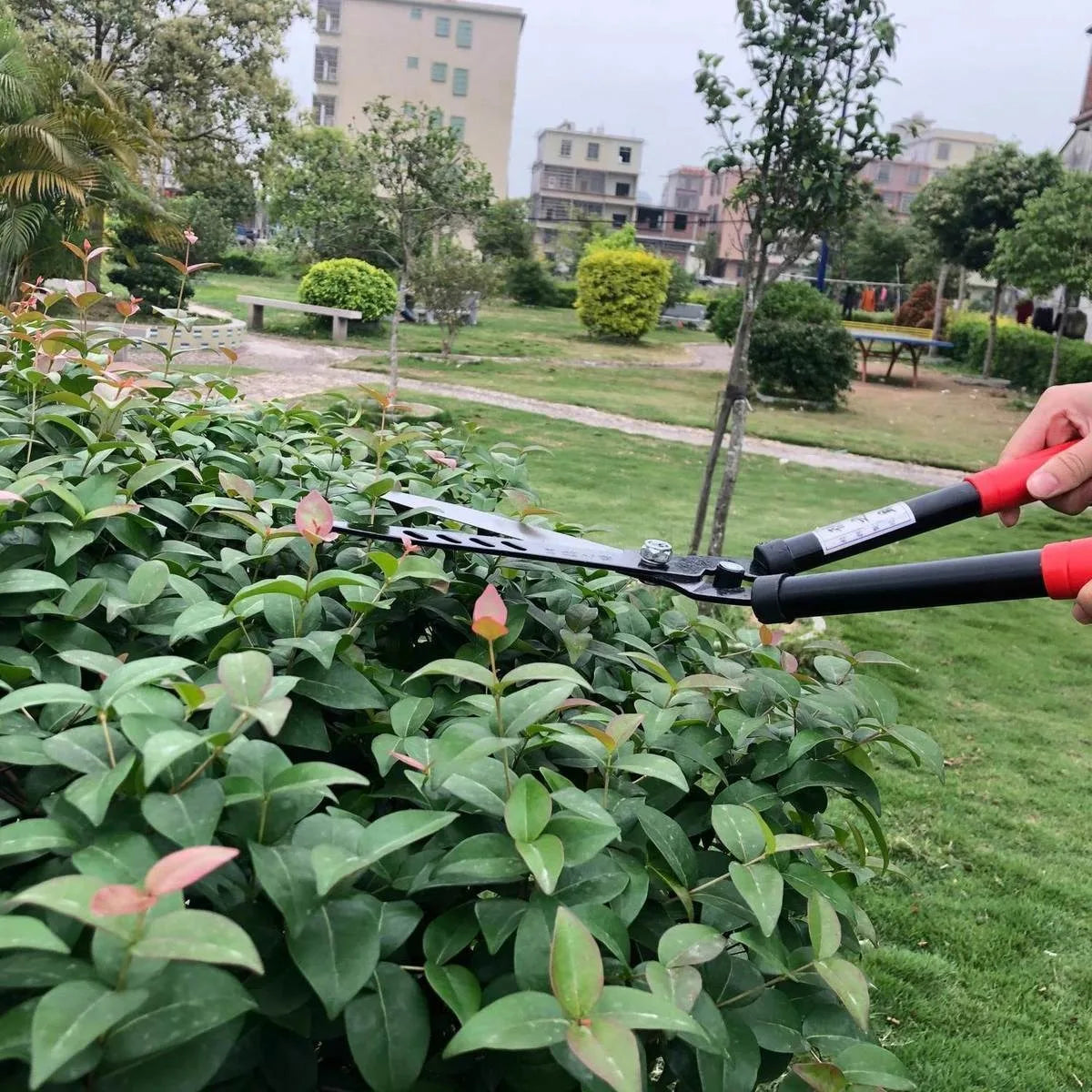 Professional Garden Hedge Shears – 53.5cm Manual Pruning & Trimming Cutter