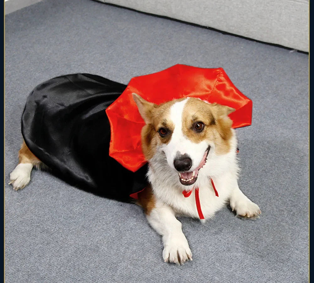 Vampire Halloween Costume for Dogs & Cats