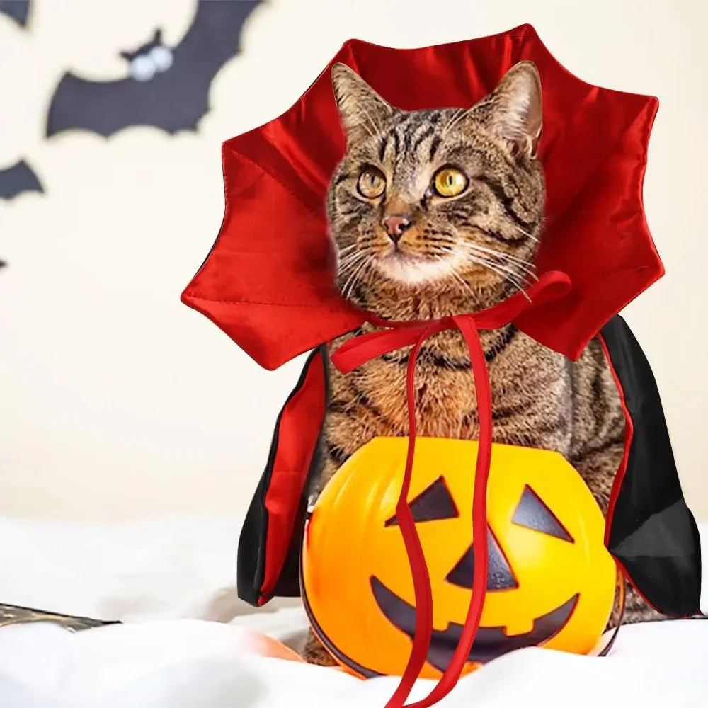 Vampire Halloween Costume for Dogs & Cats