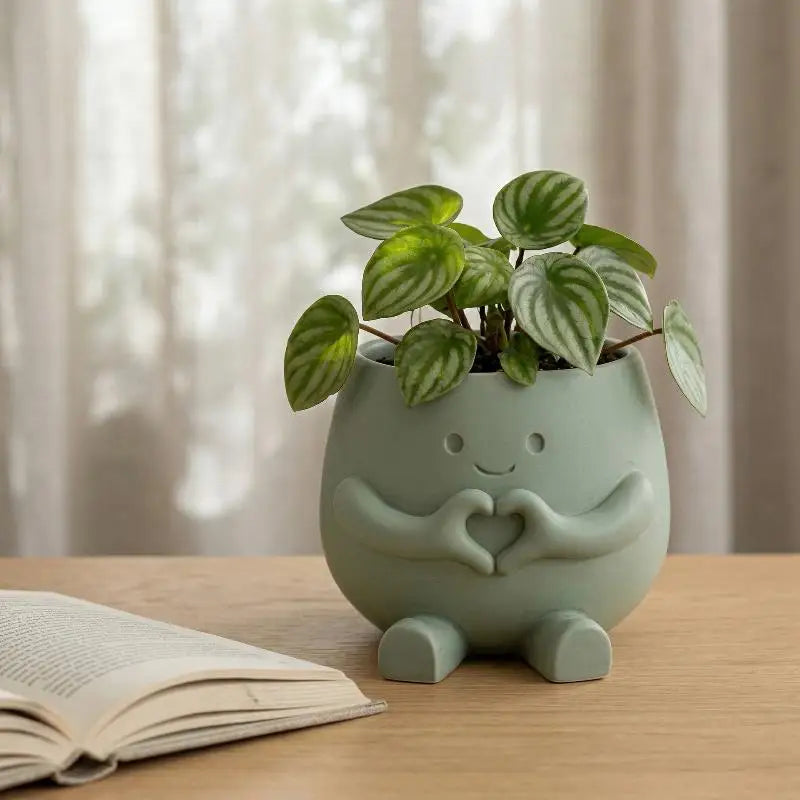 Cute Sitting Face Planter – Character Succulent & Indoor Plant Pot