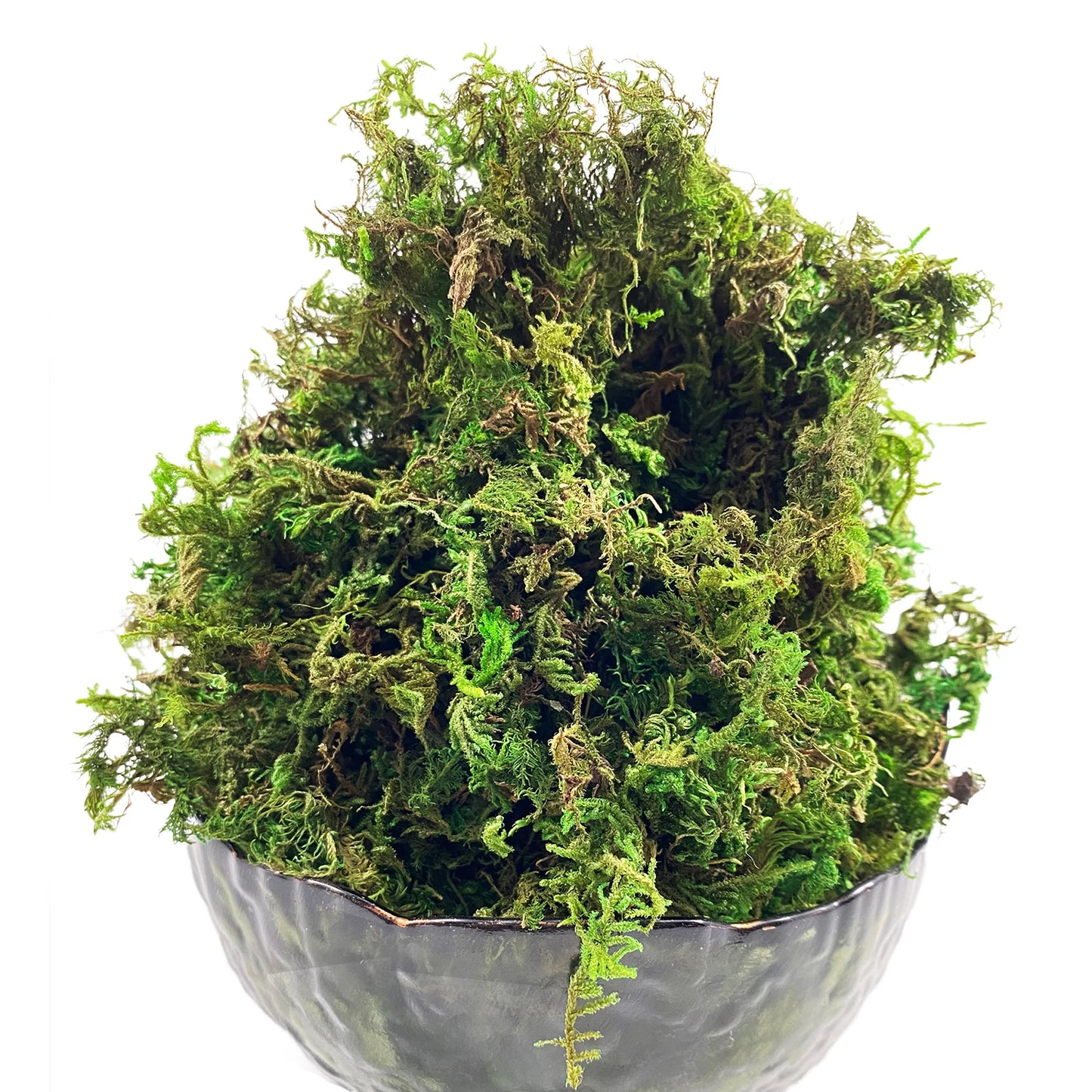 Artificial Green Moss – Decorative Faux Moss for Potted Plants, Terrariums & Crafts
