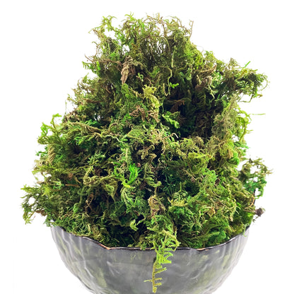 Artificial Green Moss – Decorative Faux Moss for Potted Plants, Terrariums & Crafts