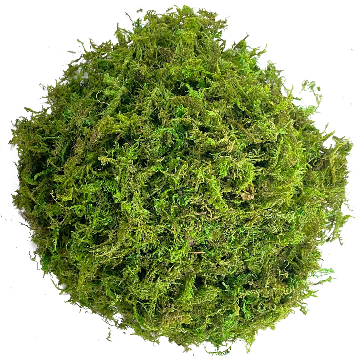 Artificial Green Moss – Decorative Faux Moss for Potted Plants, Terrariums & Crafts