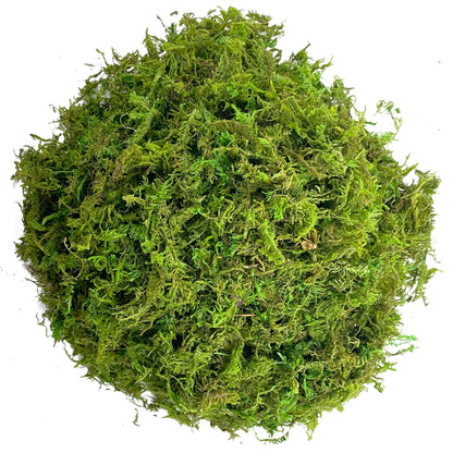 Artificial Green Moss – Decorative Faux Moss for Potted Plants, Terrariums & Crafts