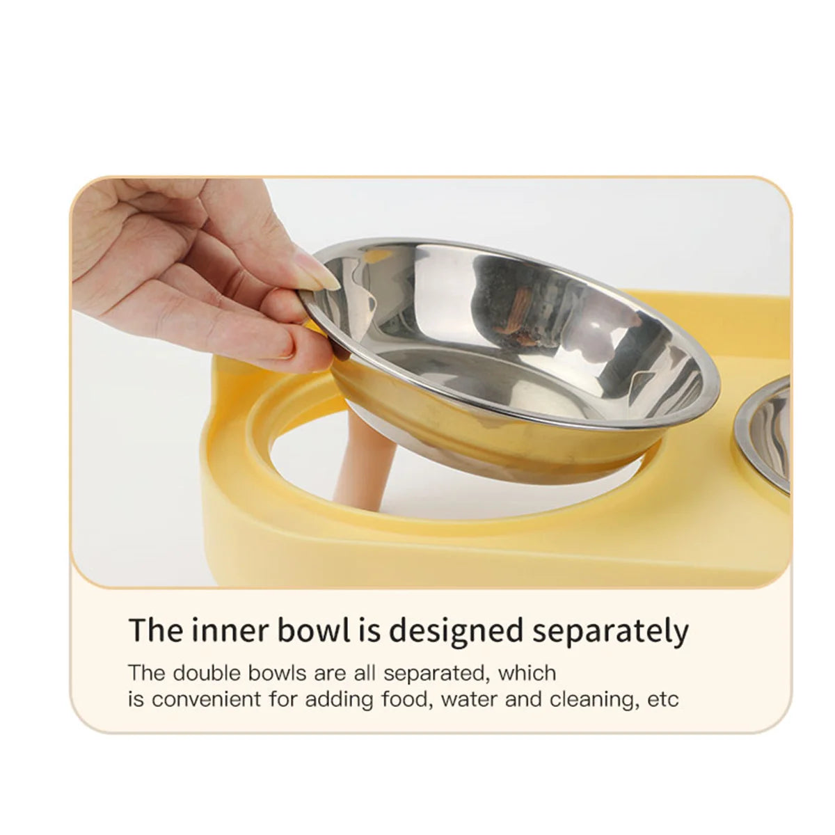 Colourful Stainless Steel Double Pet Bowl – Food & Water Feeding Station for Cats & Dogs