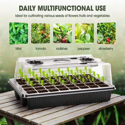 40-Cell Seed Starter Kit with Grow Lights & Humidity Dome – Indoor Propagation Tray