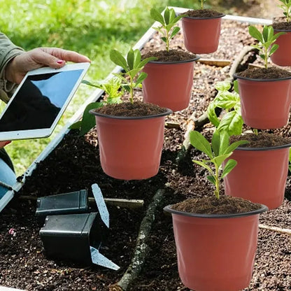 20–100 Pack Seedling Nursery Pots – Reusable 10cm Plant Growing Cups
