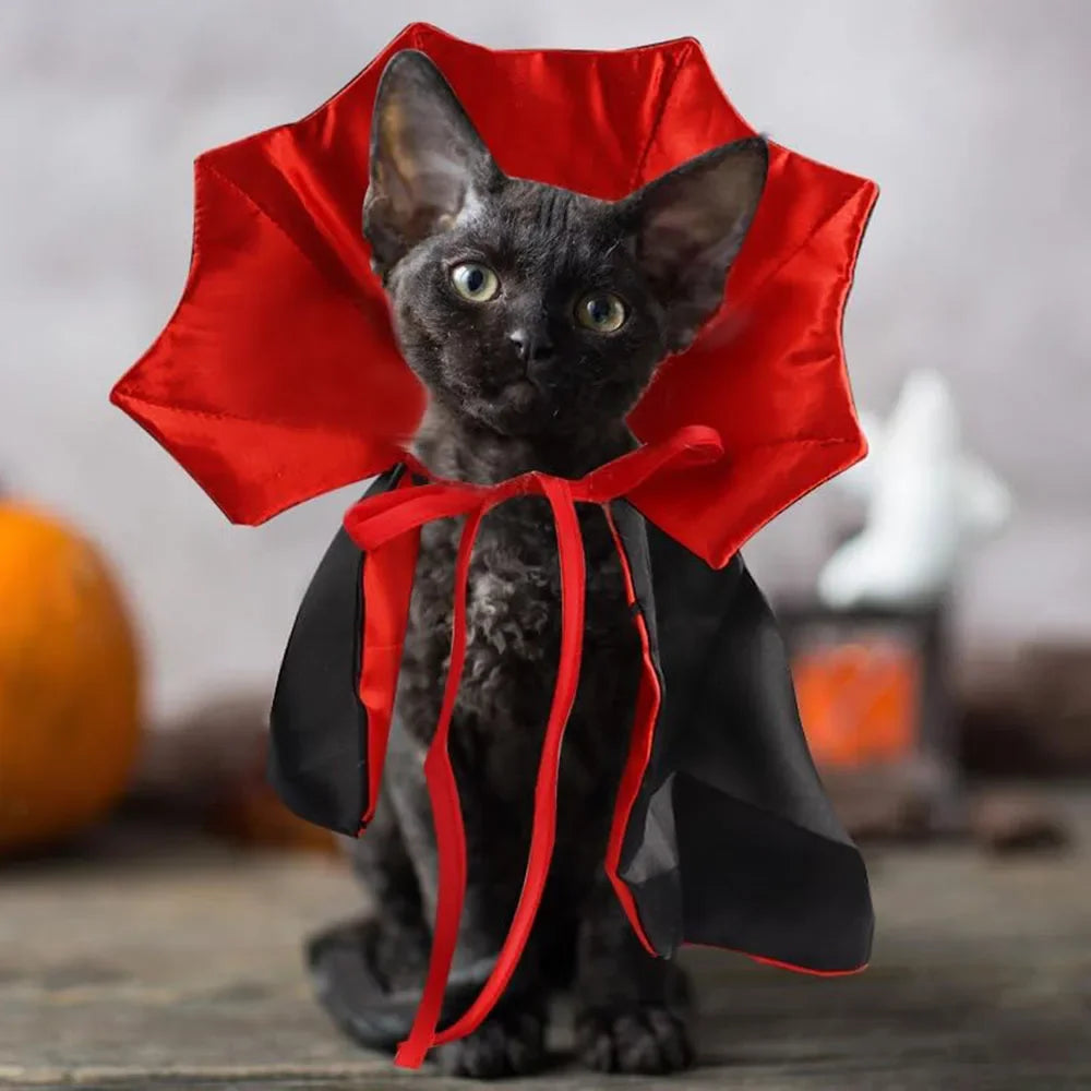 Vampire Halloween Costume for Dogs & Cats