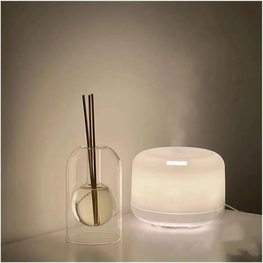Glass Reed Diffuser Bottle – Decorative Aromatherapy Vase