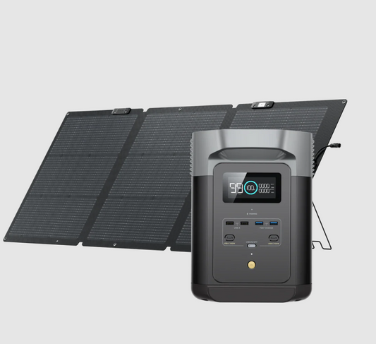 EcoFlow DELTA 2 + 160W Bi-Facial Solar Panel Bundle