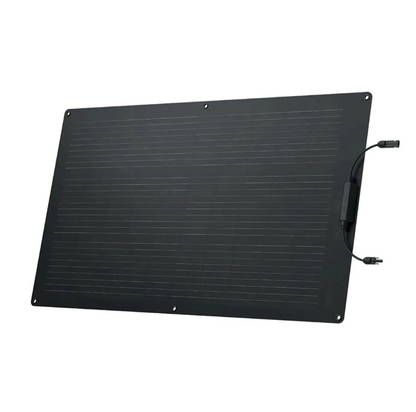 EcoFlow 100W Flexible Solar Panel