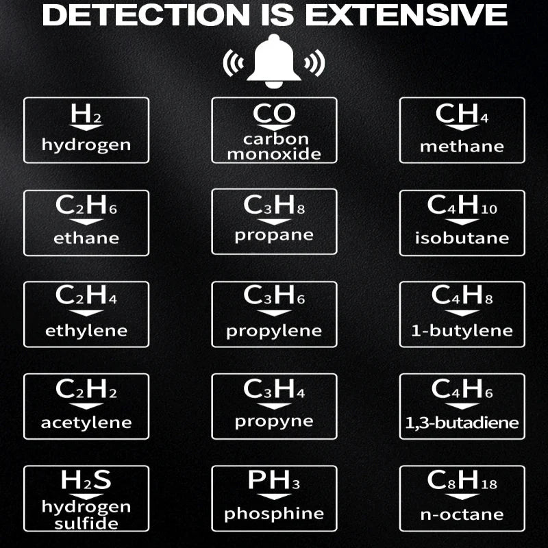 Portable Gas Leak Detector with Audible & Visual Alarm