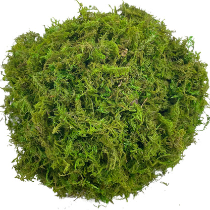 Artificial Green Moss – Decorative Faux Moss for Potted Plants, Terrariums & Crafts