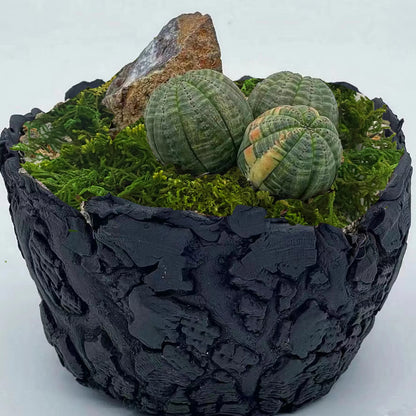 Artificial Green Moss – Decorative Faux Moss for Potted Plants, Terrariums & Crafts
