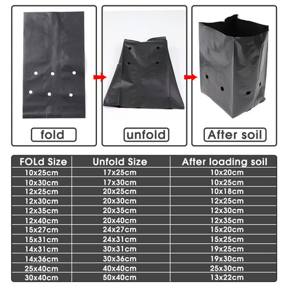 Black PE Seedling & Transplant Grow Bags – Punched Nursery Planting Bags