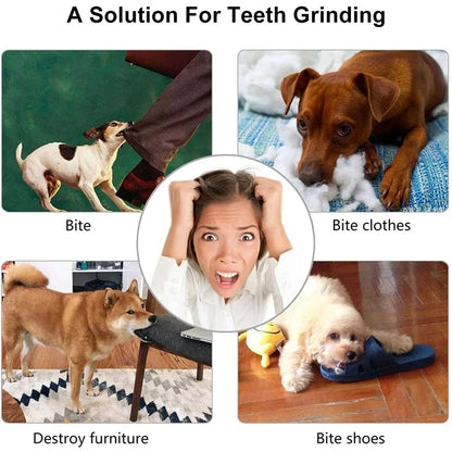 Interactive Treat Dispensing Dog Ball – Chew Toy & Slow Feeder